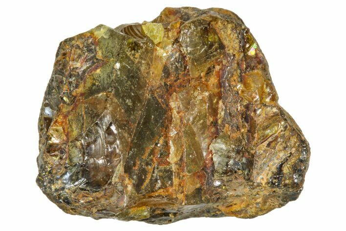 Pallasite Meteorite ( g) - NWA #367750